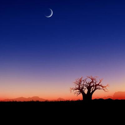 快三买大小的正规平台